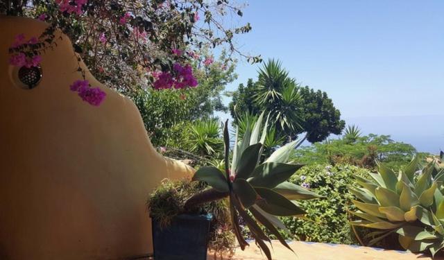 Luna - Finca Manana ลอสยานอส เด อารีดาเน ภายนอก รูปภาพ