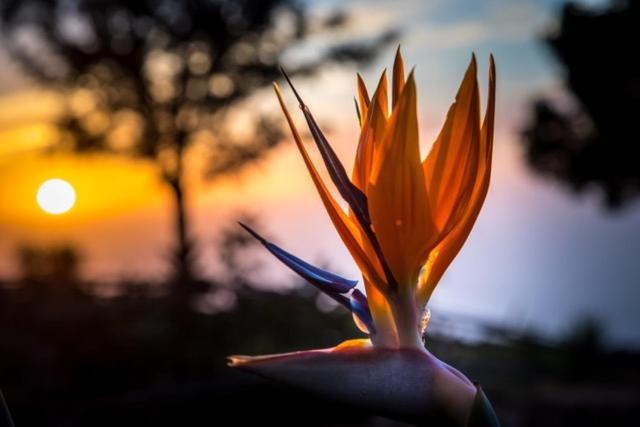 Luna - Finca Manana ลอสยานอส เด อารีดาเน ภายนอก รูปภาพ